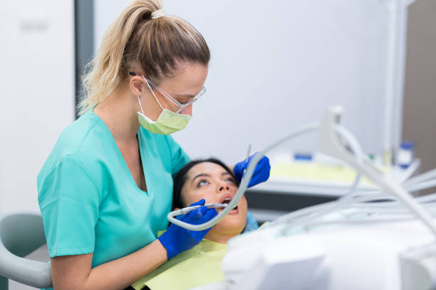 Best Emergency X-Rays and Diagnostics in Forty Fort, PA